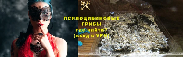 apvp Аркадак
