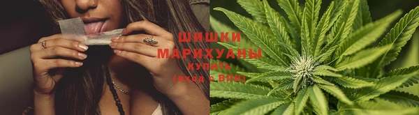 apvp Аркадак