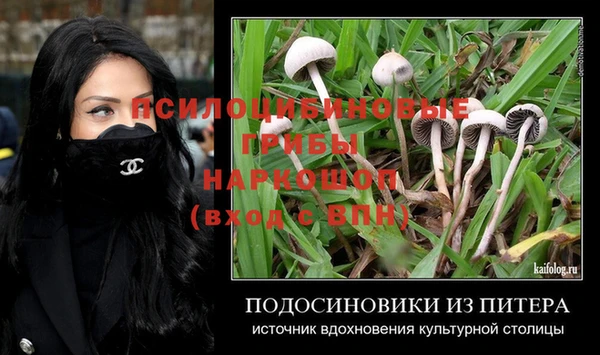 apvp Аркадак